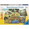 RBURG - FOREST ZOO & PETS PUZZLE 3X49PC