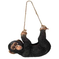 Planter | Hanging Chimp w/ Twine 18cm