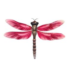 Wall Art | Dragonfly Pink Fuschsia 475x30x340mm