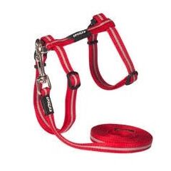 Rogz Alleycat Cat And Kitten Harness And Lead Set Red Extra Small