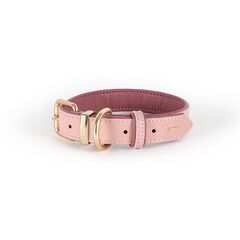 Ezydog Oxford Leather Collar Pink Blush Large 45-55cm Ezy Dog