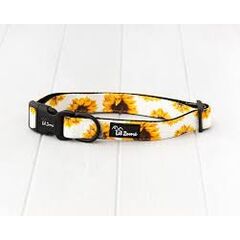 Lil Zoomi Collar Sunflower Large