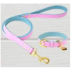 Lil Zoomi Leather Lead Prudence Pink/blue Small