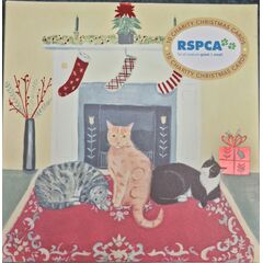 VEVOKE CHARITY CHRISTMAS CARD WALLET RSPCA-CATS STOCKING