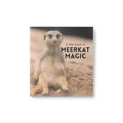 A LITTLE BOOK OF MEERKAT MAGIC