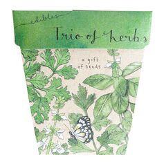 A GIFT OF SEEDS TRIO OF HERBS ECHO CARD