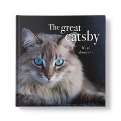 Affirmations - The Great Catsby