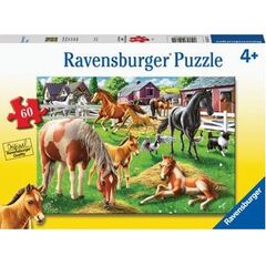 Ravensberg - Happy Horses
