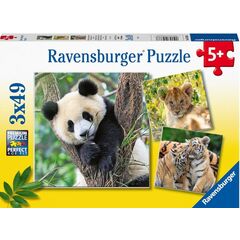 3 x 49 Pieces - Panda, Lion & Tiger - Ravensburger Jigsaw Puzzle