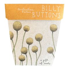BILLY BUTTONS - SOW'N'SOW