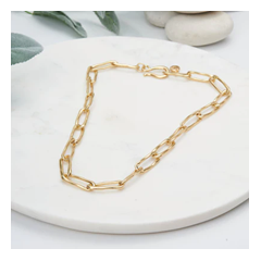 L1719ng Gold Link Chian Necklace