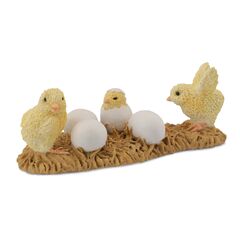 Collecta Chicks Hatching