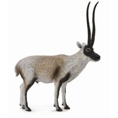 Collecta Chiru ( Tibetan Antelope)