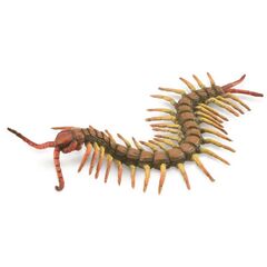 Collecta Centipede