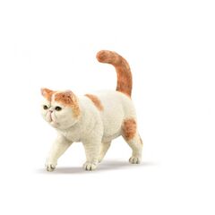 Collecta Exotic Shorthair