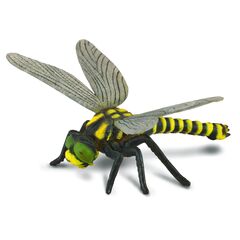 Collecta Golden Tailed Dragonfly