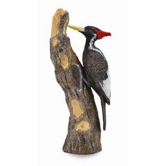 Collecta Ivory-billed Woodpecker
