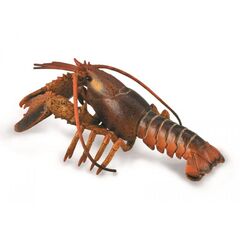 Collecta Lobster