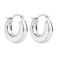 Encircle Hoop Najo Earrings