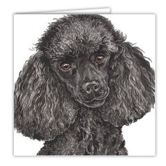 Miniature Poodle Black Art Greeting Card