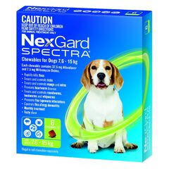 NEXGARD SPECTRA CHEW 7.6-15KG 6 PACK