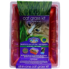 MR F/GILL CAT GRASS SPROUTING