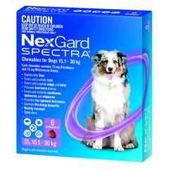 NEXGARD SPECTRA CHEW 15.1-30KG 6 PACK