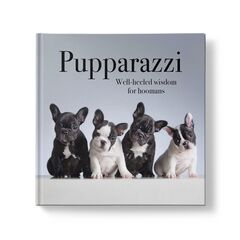 Affirmations - Pupparazzi - Inspriational Book