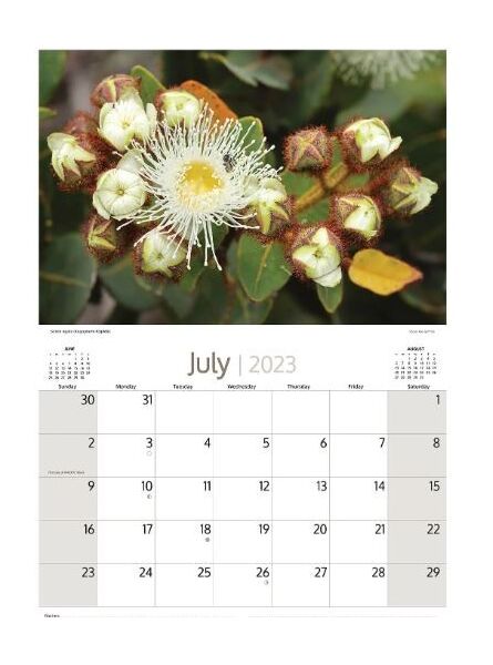 2023 Australian Wildflowers Calendar