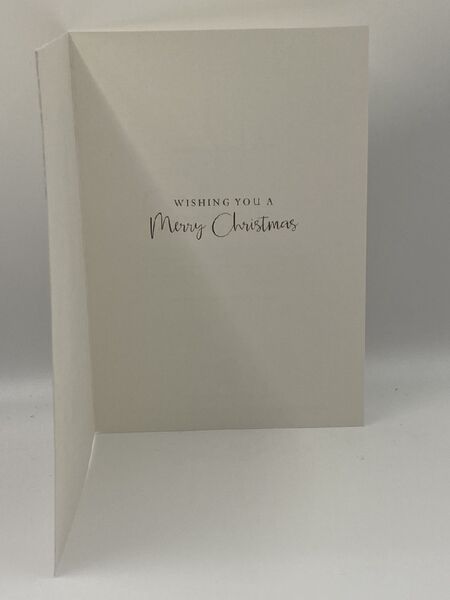 Henderson Mary And Joseph Charity Christmas Boxed Cards