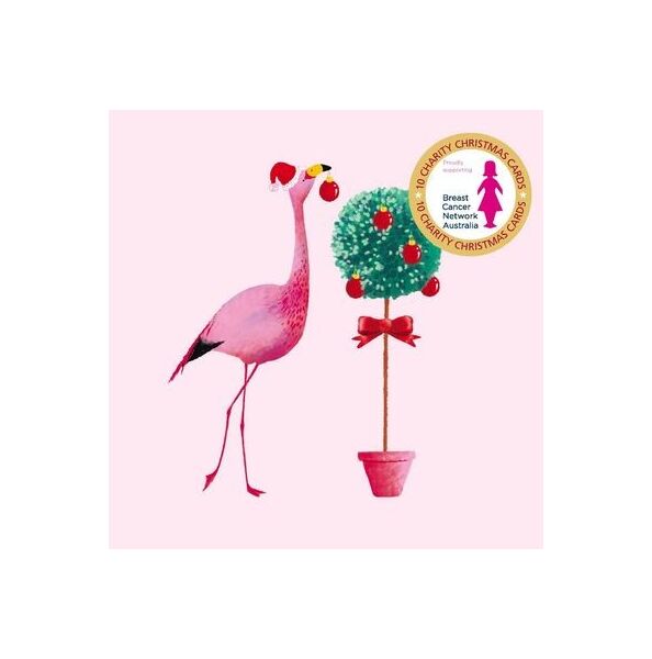 Vevoke Flamingo Touch Breast Cancer Charity Christmas Cards Boxed