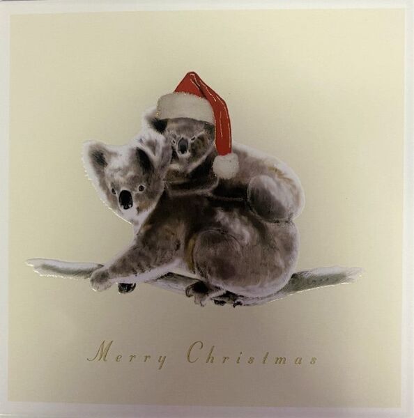 Peter Mac Foundation CardPac Luxury Australian Koala Charity Christmas Cards Boxed