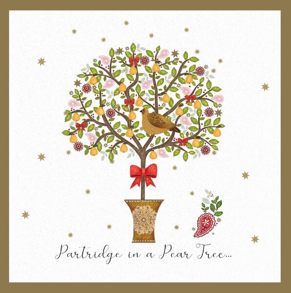 Cardpac Pear Tree Cards Box of 12