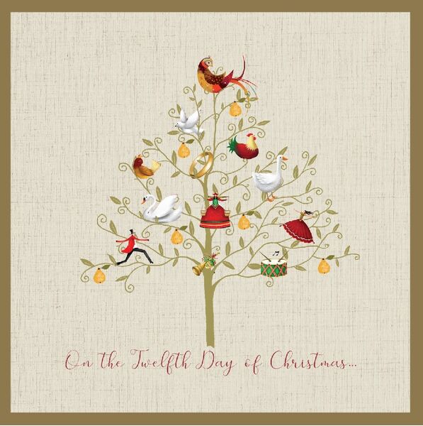STARLIGHT Bird Tree CHRISTMAS CARD 12PK