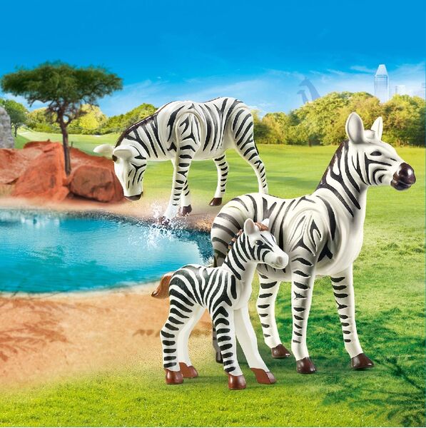 PMB - ZEBRAS WITH FOAL
