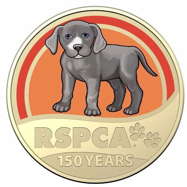 150th Anniversary of the Royal Society for the Prevention of Cruelty to Animals (RSPCA) in Australia - Dog