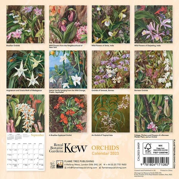 Kew Gardens: Orchids by Marianne North Mini Wall Calendar 2023