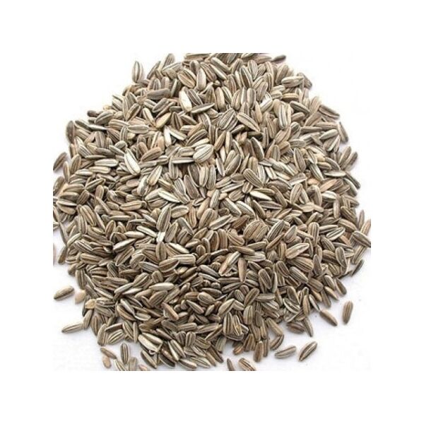 Avigrain Sunflower Seed 1.5kg