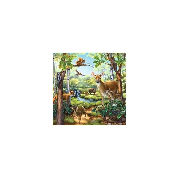 RBURG - FOREST ZOO & PETS PUZZLE 3X49PC
