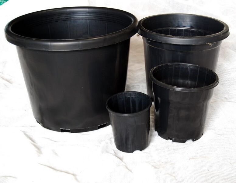 Pot Slimline Black (125mm)
